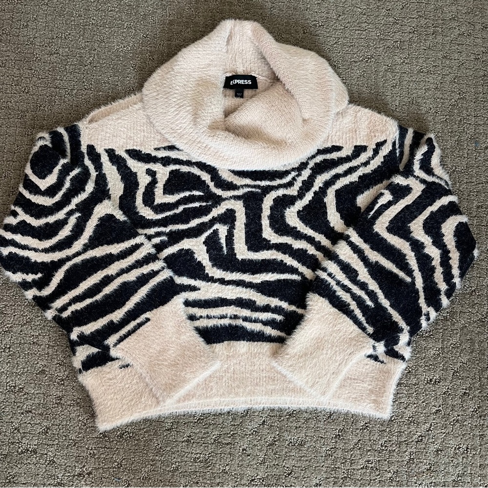 Express Neutral Zebra Animal Print Sweater